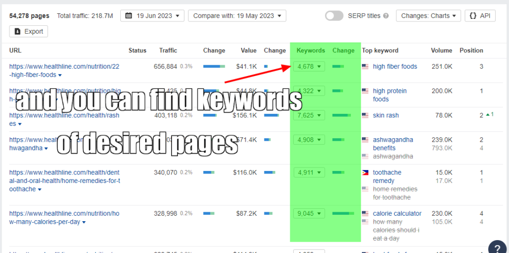 screenshot of ahrefs where user can find one view keyword count of all pages of competitor website