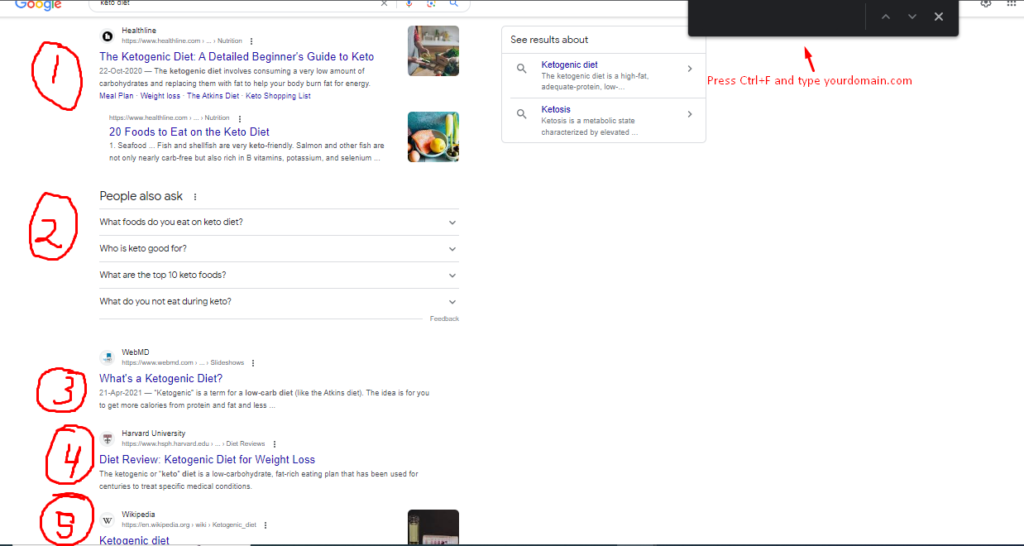 Screenshot: Google SERP to check Ranking On Google