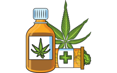 SEO for CBD Industry: Boost Your Online Visibility and Sales