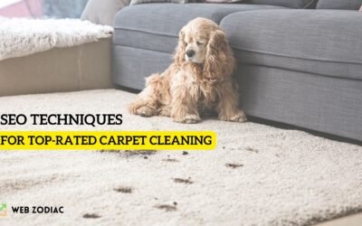 SEO for Carpet Cleaners: Maximize Leads